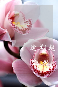 逾期超過三年信用卡能起訴我嗎(逾期三年還能起訴嗎)