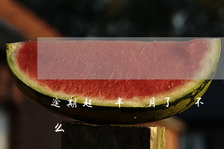 逾期超過半個月了會不會坐牢(逾期半個月怎么辦)