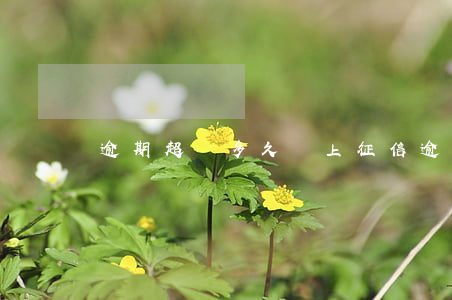 逾期超過多久會上征信(逾期多久才算上征信)