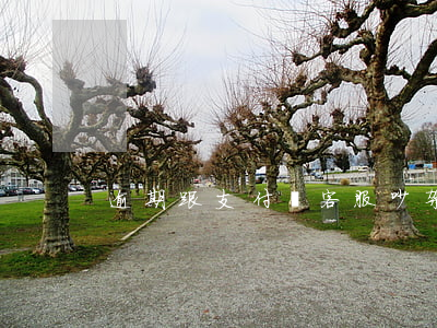 逾期跟支付寶客服吵架了