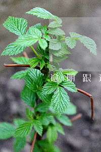 逾期跟过期(有发生过逾期会怎么样)