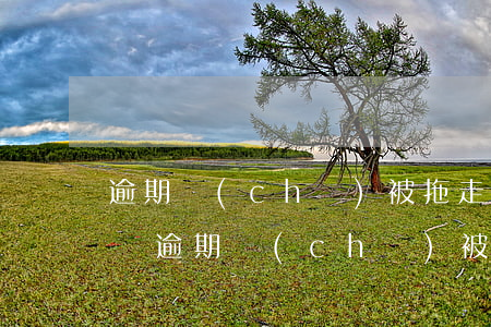逾期車(chē)被拖走會(huì)怎么樣(逾期車(chē)被拖走怎么要回來(lái))