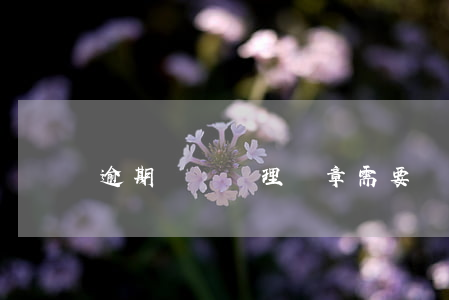 逾期車審處理違章需要帶什么證件