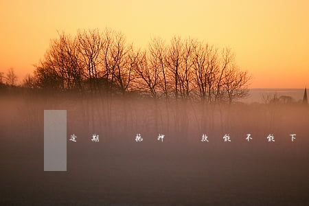 逾期車抵押貸款能不能下(有逾期車貸能下來嗎)