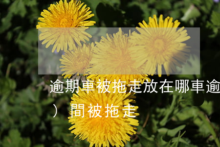 逾期車被拖走放在哪(車逾期多長時(shí)間,被拖走)