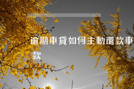 逾期車貸如何主動還款(車貸逾期怎么主動還款)