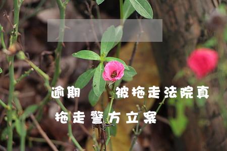 逾期車輛被拖走法院真實案例-車子逾期被拖走警方立案嗎