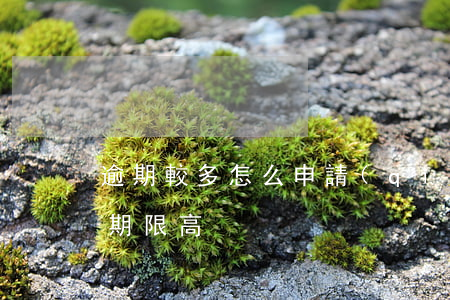 逾期較多怎么申請(qǐng)貸款(貸款逾期限高)