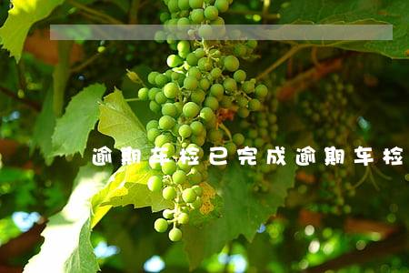 逾期车检已完成 逾期车检已完成
