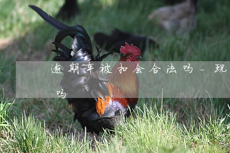 逾期车被扣会合法吗-现在车款逾期会扣车吗