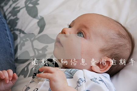 逾期车辆信息查询 逾期车辆信息查询网