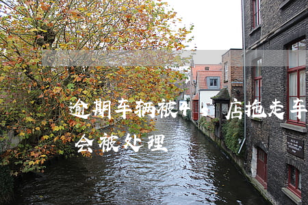 逾期车辆被4s店拖走(车子逾期被拖走多久会被处理)