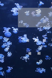 逾期辦不了信用卡怎么辦（信用卡怎么可以不逾期）