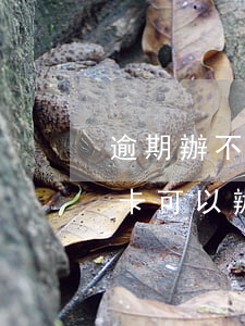 逾期辦不了信用卡能辦理車貸嗎(辦不到信用卡可以辦車貸嗎)
