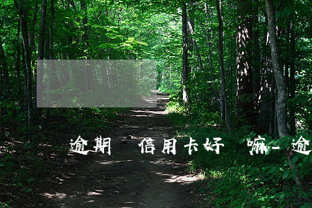 逾期辦信用卡好辦嘛-逾期可以辦信用卡嗎?