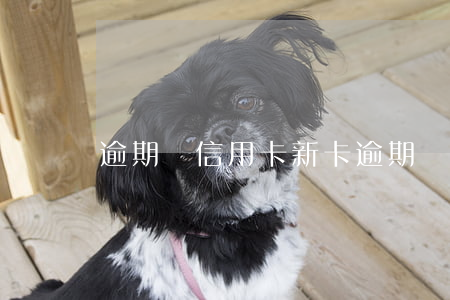 逾期辦信用卡新卡(逾期辦信用卡新卡)
