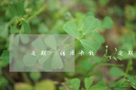 逾期辦信用卡能辦嗎(逾期辦信用卡能辦嗎)