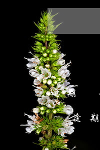 逾期辦理存款賬戶報(bào)告會罰款嗎-逾期辦理存款賬戶報(bào)告會罰款嗎