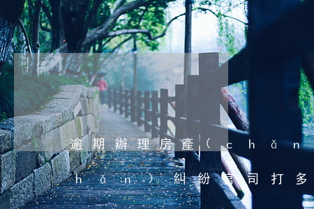 逾期辦理房產(chǎn)打官司(房產(chǎn)糾紛官司打多久)