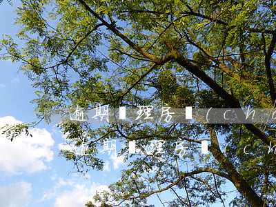 逾期辦理房產(chǎn)證集體訴訟(起訴逾期辦理房產(chǎn)證)