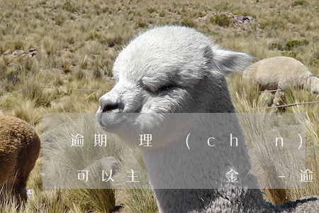 逾期辦理產(chǎn)權(quán)證可以主張違約金嗎-逾期辦理產(chǎn)權(quán)證可以主張違約金嗎合法嗎