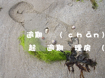 逾期辦產(chǎn)權(quán)糾紛起訴 逾期辦理房產(chǎn)證起訴書(shū)