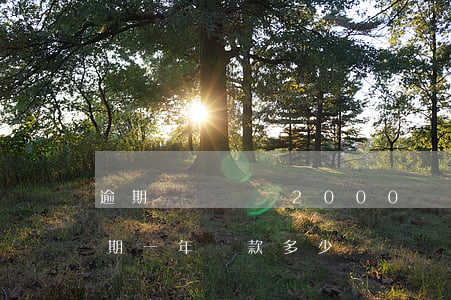 逾期辦稅處罰2000(稅務(wù)登記逾期一年罰款多少)