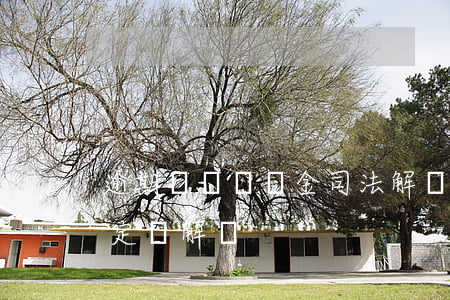 逾期辦證違約金司法解釋：最新規(guī)定與解讀