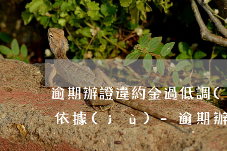 逾期辦證違約金過低調(diào)整案例依據(jù)-逾期辦證違約金過低能調(diào)整嗎