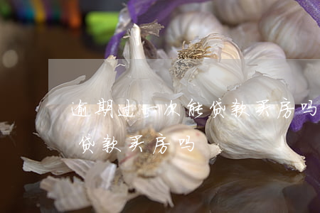 逾期过一次能贷款买房吗(有过几次逾期还能贷款买房吗)