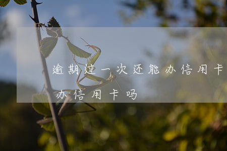 逾期过一次还能办信用卡么(逾期过两次,还能办信用卡吗)