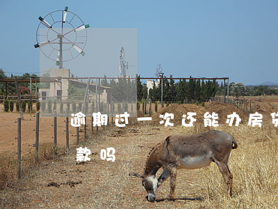 逾期过一次还能办房贷吗(房贷逾期一次能贷款吗)