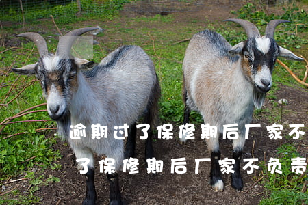 逾期过了保修期后厂家不负责维修-逾期过了保修期后厂家不负责维修怎么办
