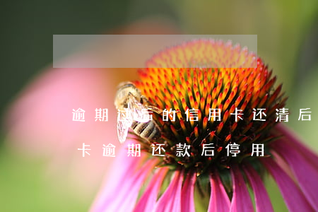 逾期过后的信用卡还清后还可以使用么（信用卡逾期还款后停用）