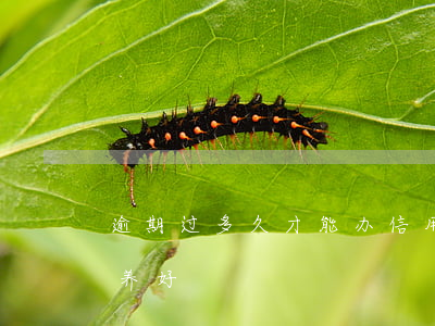 逾期过多久才能办信用卡（信用卡逾期多久能养好）