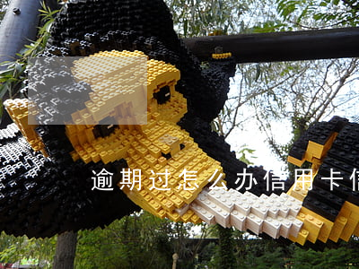 逾期过怎么办信用卡（信用卡逾期过怎么激活）