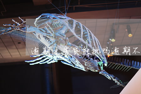 逾期过房贷能批吗(逾期不严重可以办房贷吗)