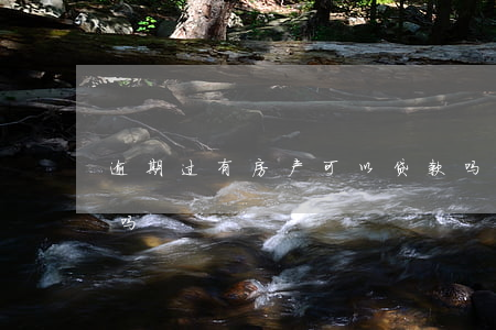 逾期过有房产可以贷款吗(买房有逾期能贷款吗)