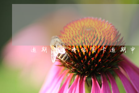 逾期过申请信用卡（逾期申请信用卡容易）