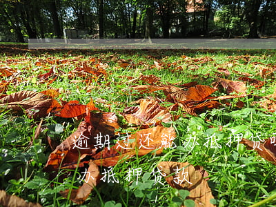 逾期过还能办抵押贷吗（信用卡逾期5次还能办抵押贷款）