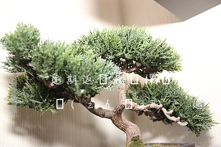 逾期返還履約保證金的利息標(biāo)準(zhǔn)-逾期返還履約保證金的利息標(biāo)準(zhǔn)是多少