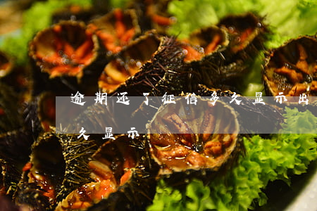 逾期还了征信多久显示出来(逾期还完征信多久显示)