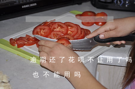 逾期还了花呗不让用了吗(花呗逾期了支付宝也不能用吗)
