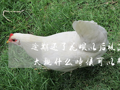 逾期还了花呗以后被冻结(花呗有逾期被冻结,大概什么时候可以解除)