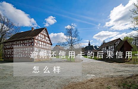 逾期还信用卡的后果（信用卡逾期停止还款会怎么样）