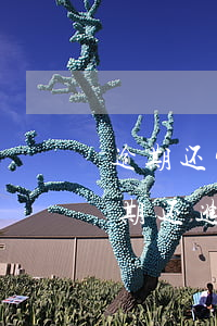 逾期还完钱后还可以用支付宝吗-支付宝逾期还进去了以后还能用吗