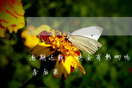 逾期还款5块会有影响吗(逾期不还款的五十条后果)