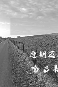 逾期还款一天会怎么样(还款逾期了一天会有啥后果)