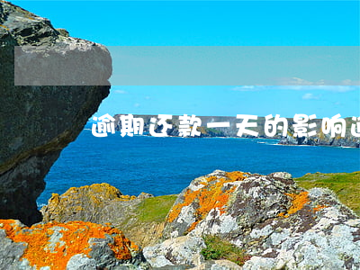 逾期还款一天的影响(逾期一个月还款的后果)