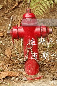 逾期还款一天算违约吗(过还款日一天还款算逾期吗)